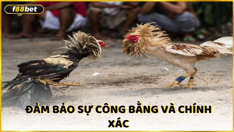 Dam Bao Su Cong Bang Va Chinh Xac (1)