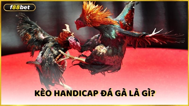 Keo Handicap Da Ga La Gi