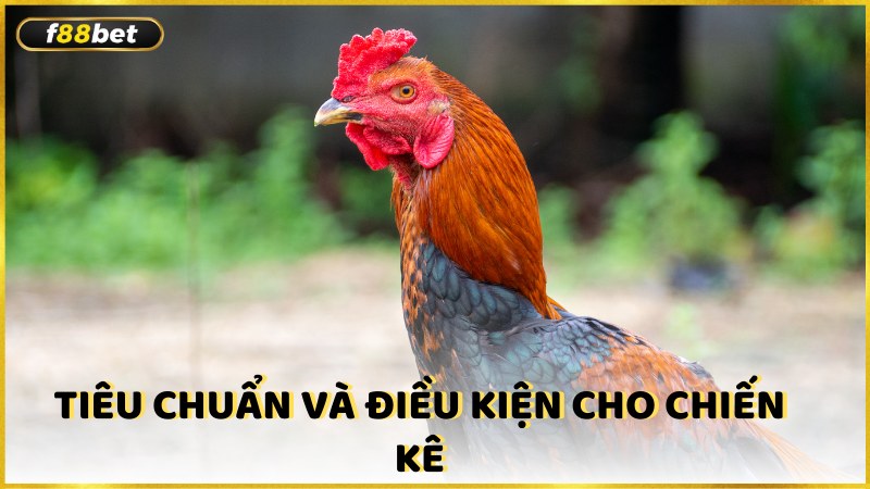 Tieu Chuan Va Dieu Kien Cho Chien Ke